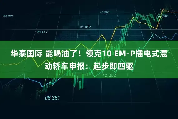 华泰国际 能喝油了！领克10 EM-P插电式混动轿车申报：起步即四驱