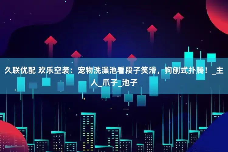 久联优配 欢乐空袭：宠物洗澡池看段子笑滑，狗刨式扑腾！_主人_爪子_池子