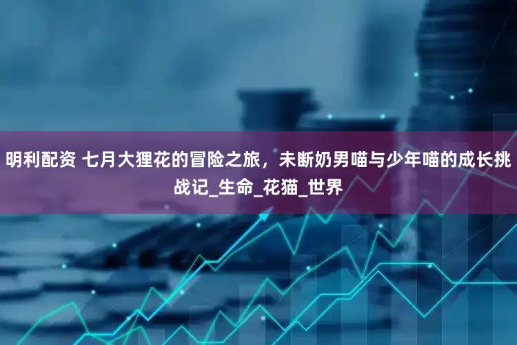 明利配资 七月大狸花的冒险之旅，未断奶男喵与少年喵的成长挑战记_生命_花猫_世界