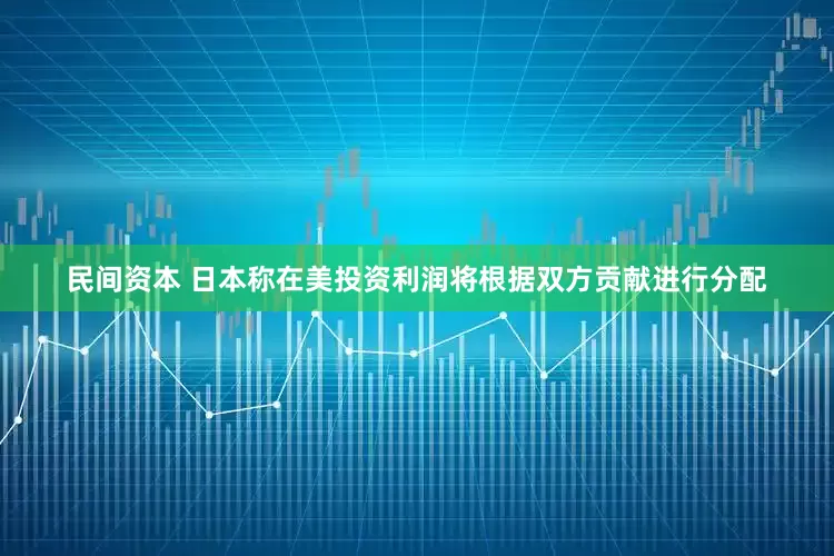 民间资本 日本称在美投资利润将根据双方贡献进行分配