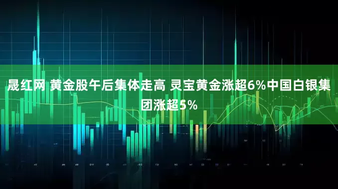 晟红网 黄金股午后集体走高 灵宝黄金涨超6%中国白银集团涨超5%